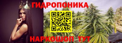 альфа пвп Гусиноозёрск